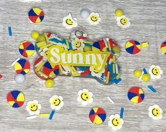 Aangepast hondenpenning van hars: Summer Fun Bone Pet Tag