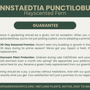 Puede incluir: Una ilustraci&oacute;n de un helecho en verde y blanco con el texto "DENNSTAEDTIA PUNCTILOBULA Hayscented Fern" y "GUARANTEE" en un cuadro verde. El texto debajo del cuadro dice "Confidence in gardening should be a given, not an exception. When you choose OneStopGardenShop, you're not just picking a plant, you're adopting a promise."  El texto contin&uacute;a con "30-Day Seasonal Promise: Haven't seen any budding or growth in the initial 30 days during its prime season? We've got you. Expect a fresh, thriving replacement." y "Dormant Plant Protection: Ordered during Late Fall/Winter and your plant still dormant even a month into spring? We appreciate your patience, and we're here for you. Receive a green, lively replacement from our greenhouse." El texto termina con "Gardening should be a joy, a journey without hesitations. And with our guarantee, that's exactly what you get. Your satisfaction isn't just a promise, it's our legacy." y "ONESTOPGARDENSHOPCO.ORG | WETLAND PLANTS, NATIVE, EASY TO MAINTAIN".