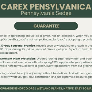 May include: A green and white graphic with the text "CAREX PENNSYLVANICA Pennsylvania Sedge" and "GUARANTEE". The text describes a 30-day seasonal promise and dormant plant protection for gardening.