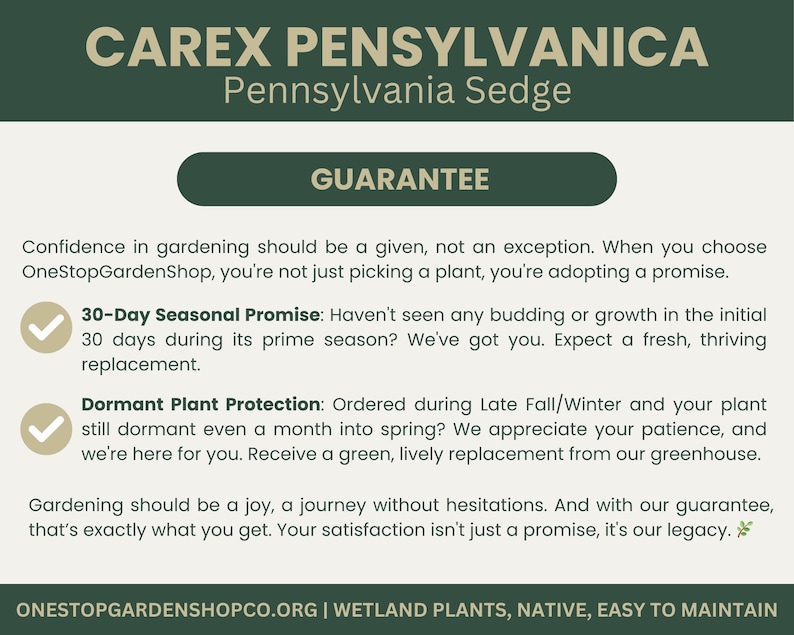 May include: A green and white graphic with the text "CAREX PENNSYLVANICA Pennsylvania Sedge" and "GUARANTEE". The text describes a 30-day seasonal promise and dormant plant protection for gardening.