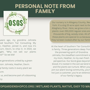 Puede incluir: Un logotipo verde con el texto "ONE STOP OSGS GARDEN SHOP" en un c&iacute;rculo de hojas. El texto "PERSONAL NOTE FROM FAMILY" est&aacute; por encima del logotipo. El texto debajo del logotipo dice: "Hace 25 a&ntilde;os, mi abuela Johneta comenz&oacute; Southern Tier Consulting. Mi madre, Heather, se uni&oacute;, y ahora es mi turno, Devin, de participar. En 2022, pensamos: "&iquest;Por qu&eacute; no vender nuestras plantas en l&iacute;nea?" &iexcl;As&iacute; que lo hicimos!  Tres generaciones unidas por una pasi&oacute;n verde: Johneta, Heather, Devin. Ra&iacute;ces familiares profundas en cada planta que nutrimos. &Uacute;nase a nosotros y forme parte de un legado floreciente.  Nuestro vivero est&aacute; en el condado de Allegany, Nueva York. Es un gran terreno de 25 acres junto al r&iacute;o Allegheny. Aqu&iacute;, cultivamos un mont&oacute;n de plantas: m&aacute;s de 250.000 plantas regulares y miles de plantas grandes y le&ntilde;osas. Todas estas plantas son especiales para nosotros porque nuestra familia las ha cuidado.  En el coraz&oacute;n de Southern Tier Consulting est&aacute; la familia. Tres generaciones: desde el esp&iacute;ritu pionero de la abuela Johneta, el compromiso inquebrantable de mi madre, Heather, hasta mi propia perspectiva fresca. Nuestro v&iacute;nculo va m&aacute;s all&aacute; de la sangre; est&aacute; arraigado en el suelo que cultivamos y las plantas que nutrimos. Cuando te unes a nuestra comunidad amante de las plantas, no eres solo un cliente, eres una extensi&oacute;n del legado de nuestra familia.  ONESTOPGARDENSHOPCO.ORG | WETLAND PLANTS, NATIVE, EASY TO MAINTAIN"