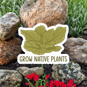 Grow Native Plants  Sticker | Symplocarpus foetidus | Skunk Cabbage | Transparent | Sticker | Waterproof and Durable | Tear Resistant