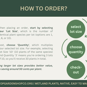 May include: An infographic titled "HOW TO ORDER?" explains the ordering process. It shows steps: select lot size, choose quantity, and check out. Text details lot size and quantity selection. The website address is onestopgardenshopco.org.