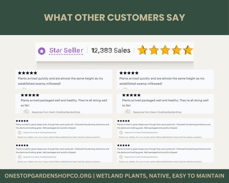 Puede incluir: Gr&aacute;fico con el texto &laquo;LO QUE DICEN OTROS CLIENTES&raquo; y rese&ntilde;as de clientes. La imagen incluye una insignia de &laquo;Vendedor Estrella&raquo;, 12.383 ventas y cinco estrellas doradas. Las rese&ntilde;as mencionan plantas que llegan r&aacute;pido y bien empaquetadas.