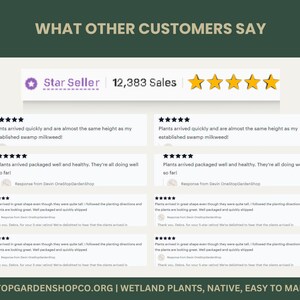 May include: A webpage screenshot with customer reviews for a plant seller. The page features a "Star Seller" badge, 12,383 sales, and five gold stars. Customer testimonials praise the plants' health and quick arrival.