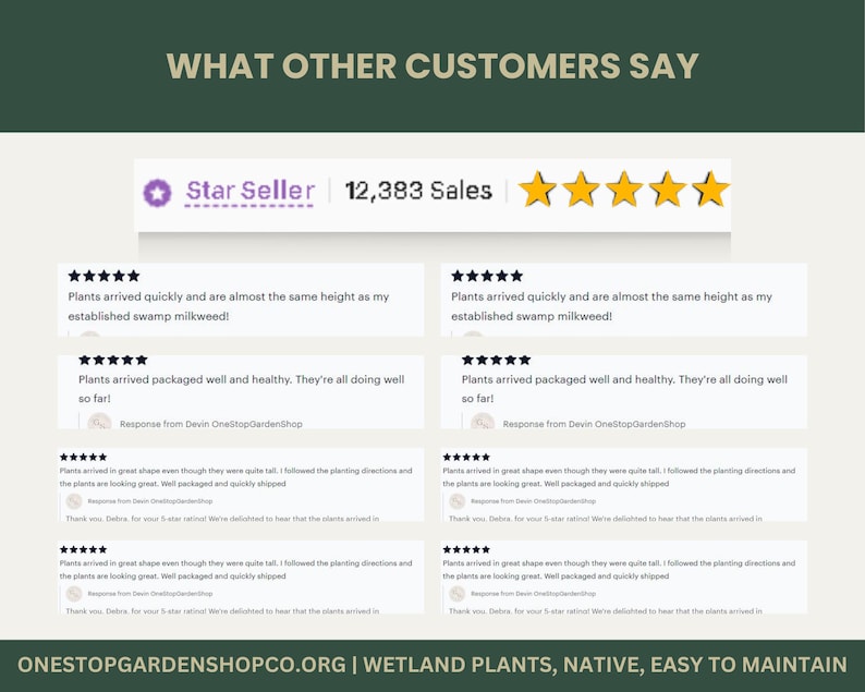 May include: A webpage screenshot with customer reviews for a plant seller. The page features a "Star Seller" badge, 12,383 sales, and five gold stars. Customer testimonials praise the plants' health and quick arrival.