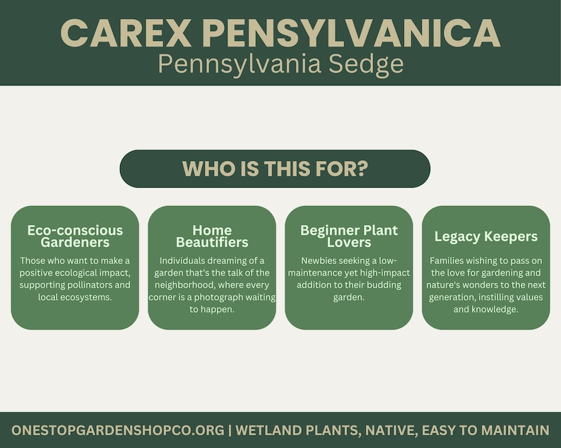 May include: A graphic with the text "CAREX PENNSYLVANICA Pennsylvania Sedge." Below, it lists "Who is this for?" with four categories: Eco-conscious Gardeners, Home Beautifiers, Beginner Plant Lovers, and Legacy Keepers. The website address is also included.