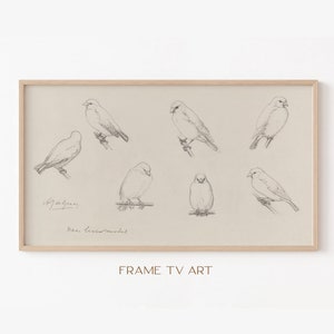 Samsung Frame TV Art | Frame TV Art 4K | Birds Sketch TV Art | Vinatge Art Tv Wallpaper | Digital Download | Instant Download