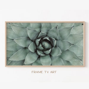Samsung Frame TV Art | Frame TV Art 4K |  TV Art |  Tv Wallpaper | Digital Download | Instant Download