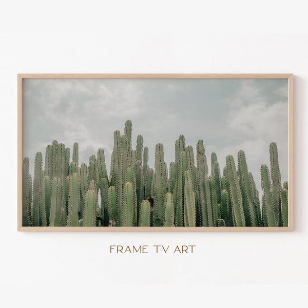 Samsung Frame TV Art | Frame TV Art 4K | Cacti TV Art | Southwest Tv Wallpaper | Digital Download | Instant Download