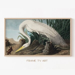 Samsung Frame TV Art | Frame TV Art 4K | Birds TV Art | Great Egret | Vintage Art Tv Wallpaper | Digital Download | Instant Download