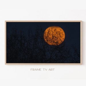 Halloween Frame TV Art | Samsung Frame TV Art | Digital Download | TV Art Samsung Fall Decor | Samsung Frame Art | Art Frame