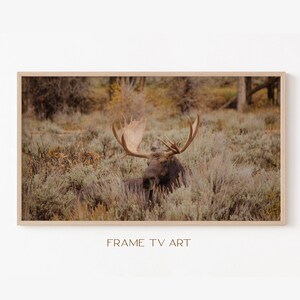 Samsung Frame TV Art | Frame TV Art 4K |  TV Art |  Tv Wallpaper | Digital Download | Instant Download