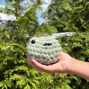 Crochet Froggy Plushie