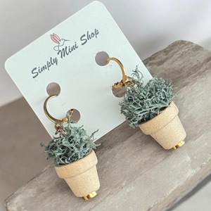 May include: A pair of dangle earrings featuring miniature beige flower pots filled with textured sage green moss. The earrings have gold-toned metal hooks and are attached to a white display card printed with the text Simply Mini Shop.