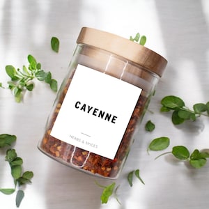 Modern Spice Labels | Pantry Organization | Spice Jar Labels | Water and Oil Resistant