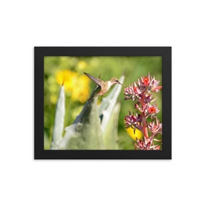 MRose Photography In Flight Framed photo paper poster