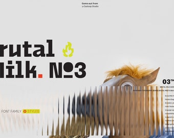 Brutal Milk 03 - Modern Sans Serif Font Family Minimalist Font Poster and Magazine Font for Branding Cricut Font Canva Font Procreate Font