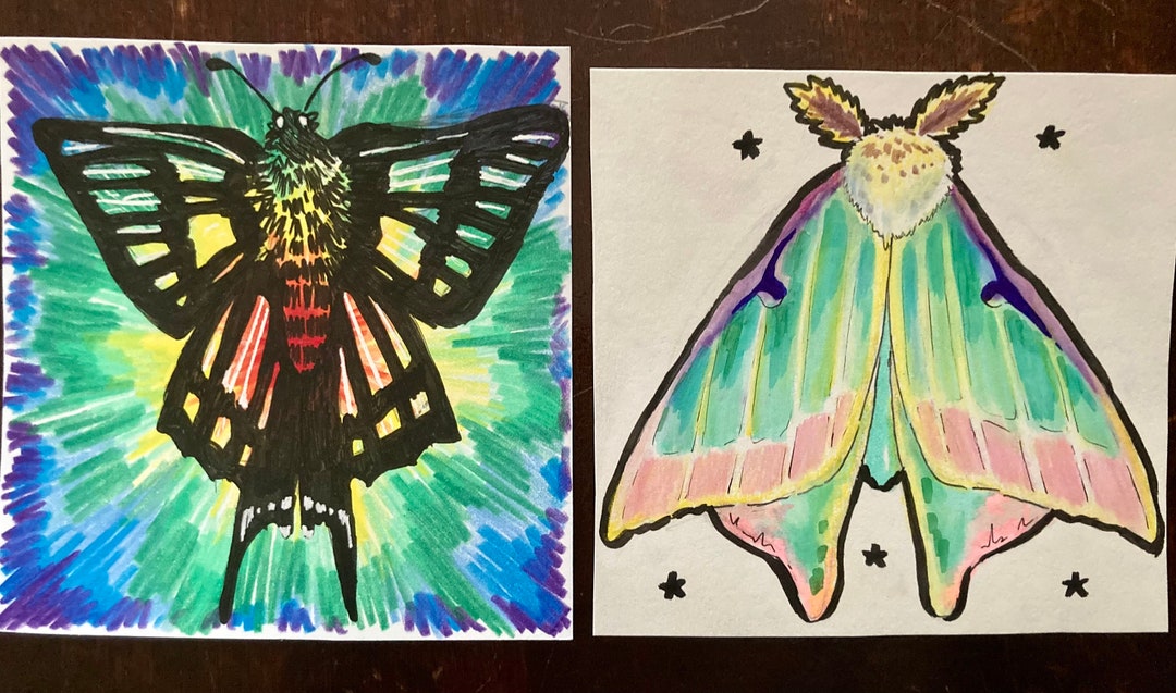 Original Moth Paintings Customizable Moth Paintings Etsy