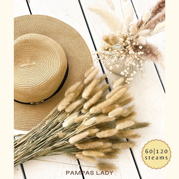 BUNNY TAILS Steams 60pc | Soft and Fluffy Pampas Plumes  | Dried Flower Arrangements | Lagurus Ovatus | Bunny Tails Pampas Grass