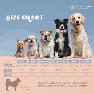 The image is a size chart for dogs, showing the measurements for different dog breeds. It includes a diagram of a dog's neck and provides instructions on how to measure a pet's neck using a soft measuring tape or a piece of string.