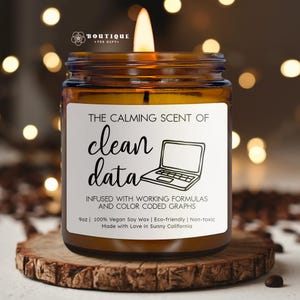 Clean Data Candle, Scented Soy Wax Candle, Eco-friendly Gift, Office Decor, Calming Fragrance, Non-toxic, Home Ambience(CAN-WRK2)