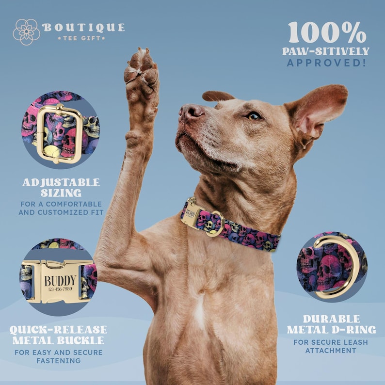 A dog wearing a colorful collar with a skull design, standing on its hind legs and raising its paw.