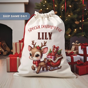 May include: A cream-colored Christmas gift bag with a red drawstring and trim. The bag features a cartoon reindeer pulling a sleigh filled with presents. Text on the bag reads "Special Delivery For LILY".