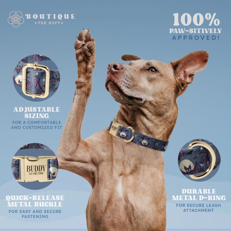 The image is an advertisement for a dog collar, featuring a close-up of a dog's paw raised in the air. The collar has adjustable sizing, a metal buckle for easy release, and a durable metal ring for secure attachment. The collar is 100% paw-sitively approved, indicating that it is a comfortable and secure option for dogs.