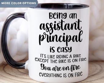 Funny Assistant Principal Mug, Appreciation Gift For Assistant Principal, Back To School Gift For Assistant Principal, (MUG-49 AP)