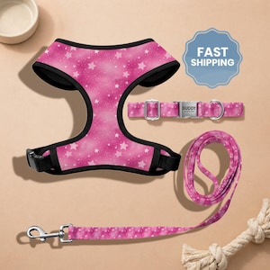 May include: A pink dog harness, collar, and leash set with a white star pattern. The harness has black trim and a black buckle. The collar has a silver buckle and the word "BUDDY" on it. The leash is pink and has a silver clasp.