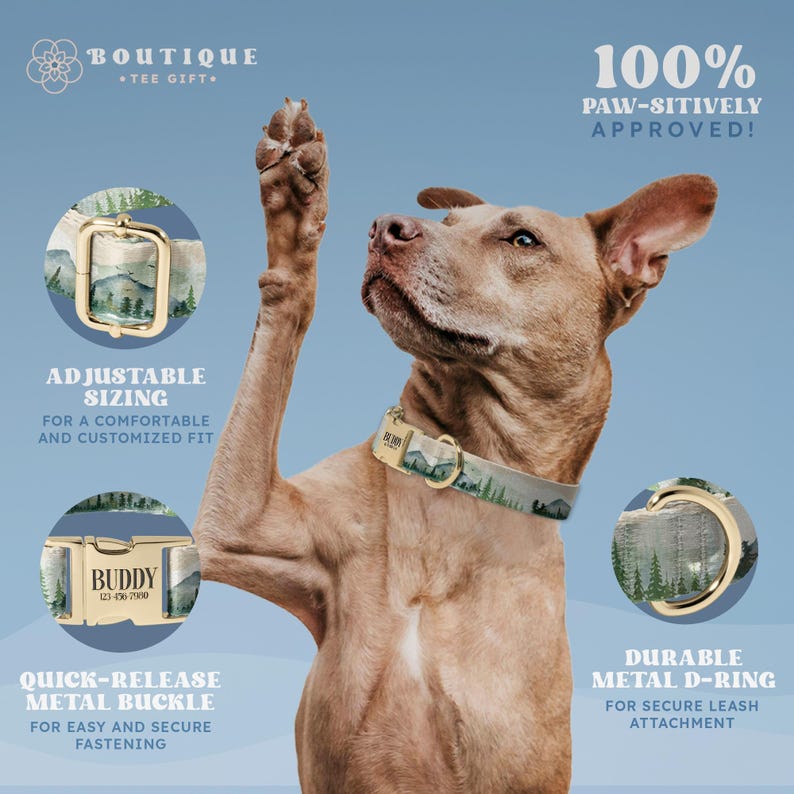a dog with its paws up in the air