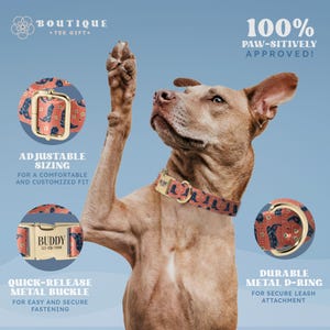 Western Cowboy Dog Collar, Cowboy Boots Collar, Engraved Dog Collar, Collar & Leash Set (DOG44) immagine 4