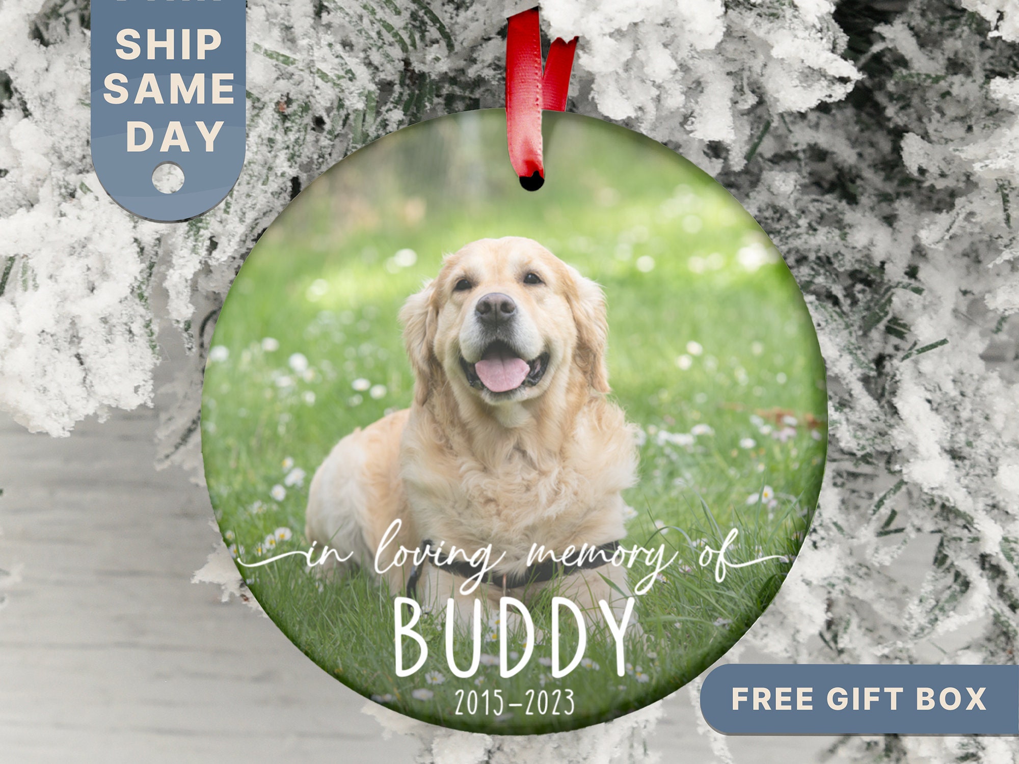 Customized Pet Figures｜Personalized Gifts for Pet Memorials