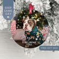 Personalized First Christmas Ornament, Custom Pet Photo Ornament, Unique Holiday Keepsake, Gift for Pet Lovers, First Christmas (RP-6 First)