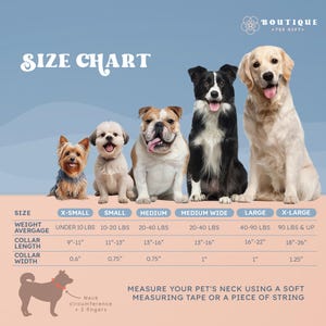 The image is a size chart for dogs, showing the measurements for different dog breeds. It includes a diagram of a dog's neck and provides instructions on how to measure a pet's neck using a soft measuring tape or a piece of string.