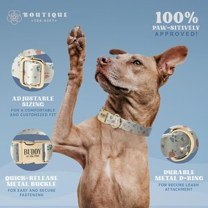 a dog with its paws up in the air