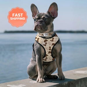 Puede incluir: Un bulldog franc&eacute;s con un arn&eacute;s y collar a juego de color beige con un estampado de vaquero de botas, sombreros y cactus. El perro est&aacute; sentado sobre una superficie de hormig&oacute;n con una masa de agua al fondo. La imagen incluye un gr&aacute;fico de "FAST SHIPPING".