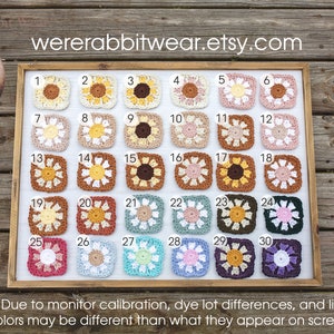 K&ouml;nnte beinhalten: Eine gerahmte Anzeige von 30 geh&auml;kelten Quadraten in verschiedenen Farben, darunter Gelb, Braun, Rosa, Gr&uuml;n und Blau. Jedes Quadrat zeigt ein Blumendesign in der Mitte. Die Quadrate sind von 1 bis 30 nummeriert. Der Text "wererabbitwear.etsy.com" wird oben am Rahmen angezeigt. Der Text "Hinweis: Aufgrund der Monitor-Kalibrierung, Farbstoff-Los-Unterschiede und Beleuchtung k&ouml;nnen die Farben von denen abweichen, die auf dem Bildschirm angezeigt werden." wird unterhalb des Rahmens angezeigt.