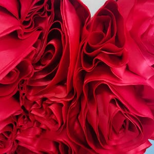K&ouml;nnte beinhalten: Nahaufnahme eines leuchtend roten Stoffes mit einem geschichteten, ger&uuml;schten Design. Der Stoff scheint Satin oder ein &auml;hnliches Material zu sein, mit einem gl&auml;nzenden Glanz. Die Falten erzeugen ein rosen&auml;hnliches Muster mit einem weichen, strukturierten Aussehen.