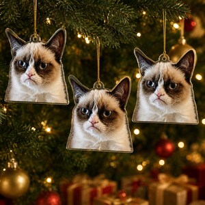 Puede incluir: Tres adornos planos de acrílico transparente con forma de cabeza de gato gruñón de pelaje marrón y blanco. Cada adorno presenta una impresión fotográfica detallada de la cara del gato con expresión seria y cuelga de un cordón dorado fino.