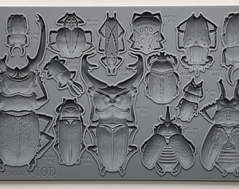 Iron Orchid Designs Specimens Decor Mould, Silicone Mould, Resin/Clay Mould FREE DELIVERY