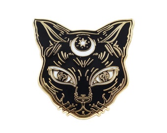 Luna The Black Cat Kitty