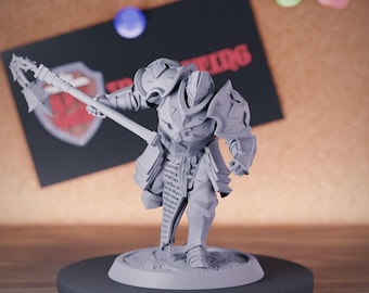 Tempelier Krijger Vechter Miniatuur Paladijn Geestelijke Dungeons and Dragons Mini RPG Tabletop Miniatuur DnD Schilderen Pathfinder 5e DnD | LoP