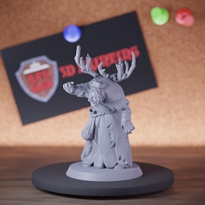 Forest Witch Miniature Old Hag Mini Dungeons and Dragons Mini RPG Tabletop Miniature DnD Painting Pathfinder 5e DnD | GM