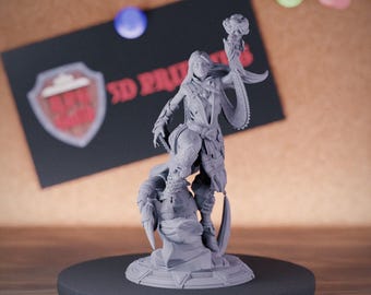 Magierin Miniatur | 28mm-75mm | Harz 3D Gedruckt D & D Pathfinder Mini | DMS