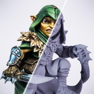 以下が含まれることがあります： ファンタジーキャラクターの精巧なフィギュアで、塗装済みと未塗装のバージョンを示すために分割されています。塗装された側には、決意した表情で短剣を持っている緑色のフード付きの人物がいます。未塗装の側には3Dモデルが表示されます。