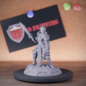 Miniatura wojownika pancernego z mieczami | 28 mm-75 mm | Miniatura Pathfindera D&D, drukowana w żywicy 3D | DMS