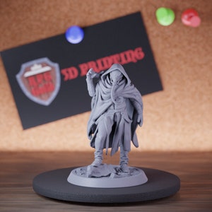 Sandstorm Rider Miniature Fighter Mini Dungeons and Dragons Mini RPG Tabletop Miniature DnD Painting Pathfinder 5e DnD | LoP