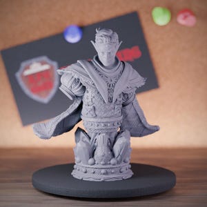 Busto de hechicero elfo drow / Miniatura de resina impresa en 3D para pintar y coleccionar / DMS
